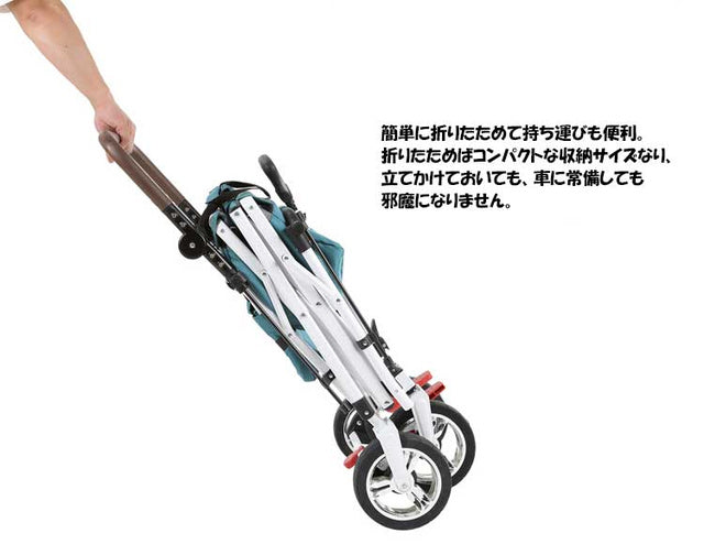 CT-WAGON WIDE ワイド キャリーワゴン