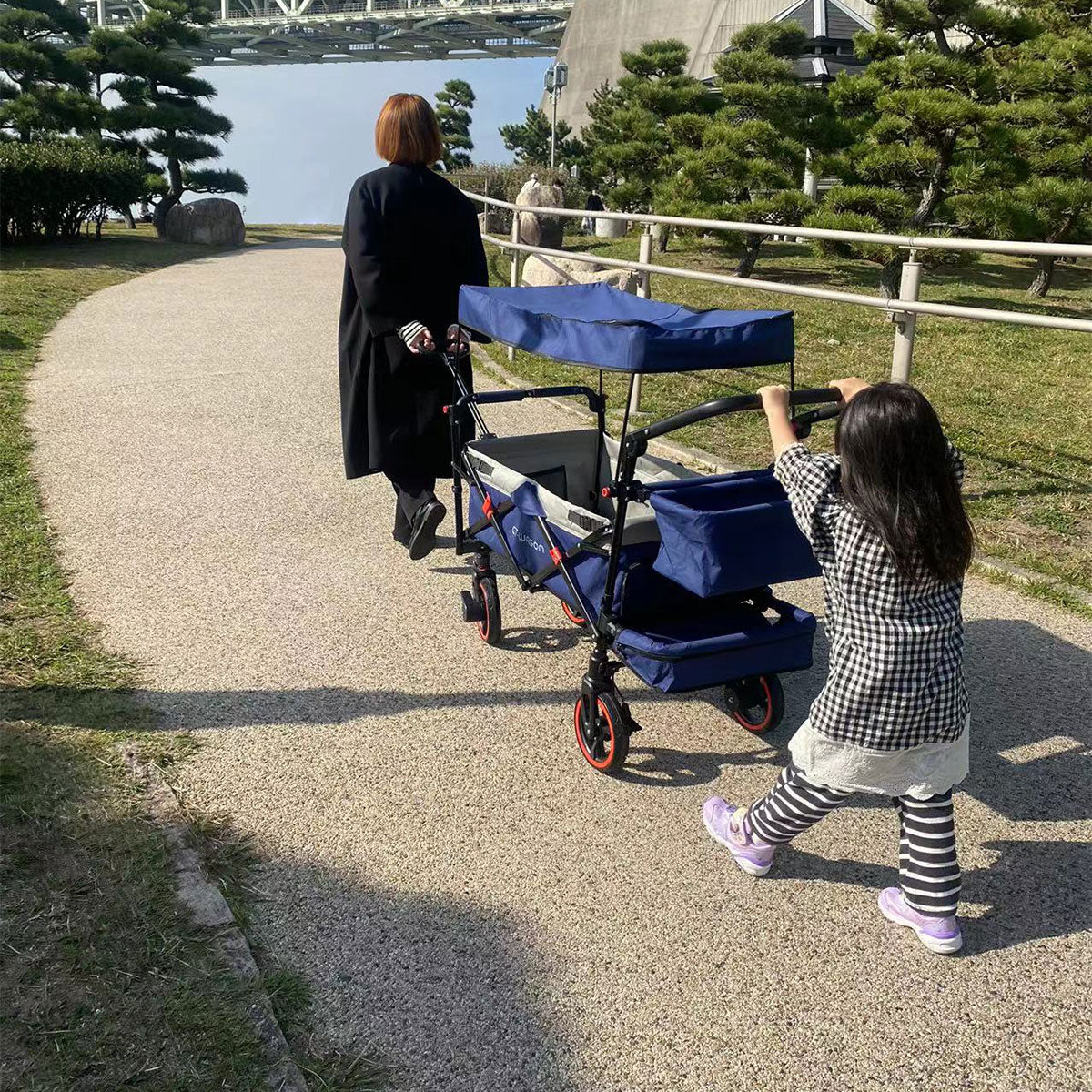 ベビーカーにもなるキャリーワゴン CT-WAGON PLUS プラス